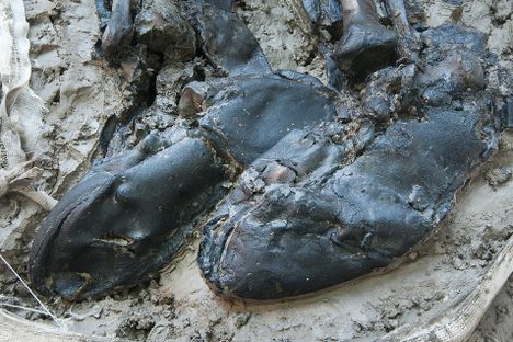 The Thames mud can provide ideal conditions for the preservation of organic materials such as leather. 