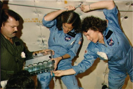 McAuliffe and Gordon practice the hydroponics experiment.