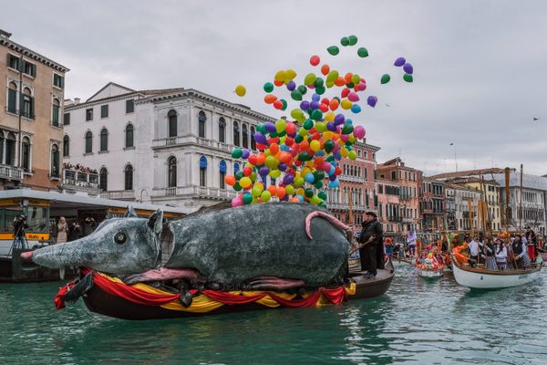This 22-foot-long, papier-mâché rat known as Pantegana helps to kick off Carnival. For centuries, rats were blamed for carrying diseases to port cities, making the rodent an unlikely emblem for Venice, but Pantegana is beloved in the city where rats, which can be surprisingly strong swimmers, are one of the city’s most plentiful, non-human residents.