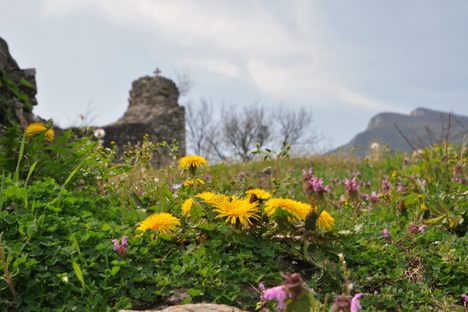 Kula Gradina