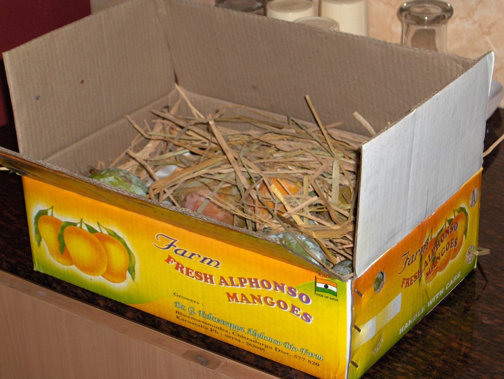 Box of Alphonso mangoes