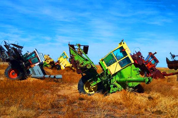 Combine City has 14 "planted" combine tractors...