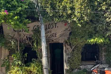 John Gallery The Tree House