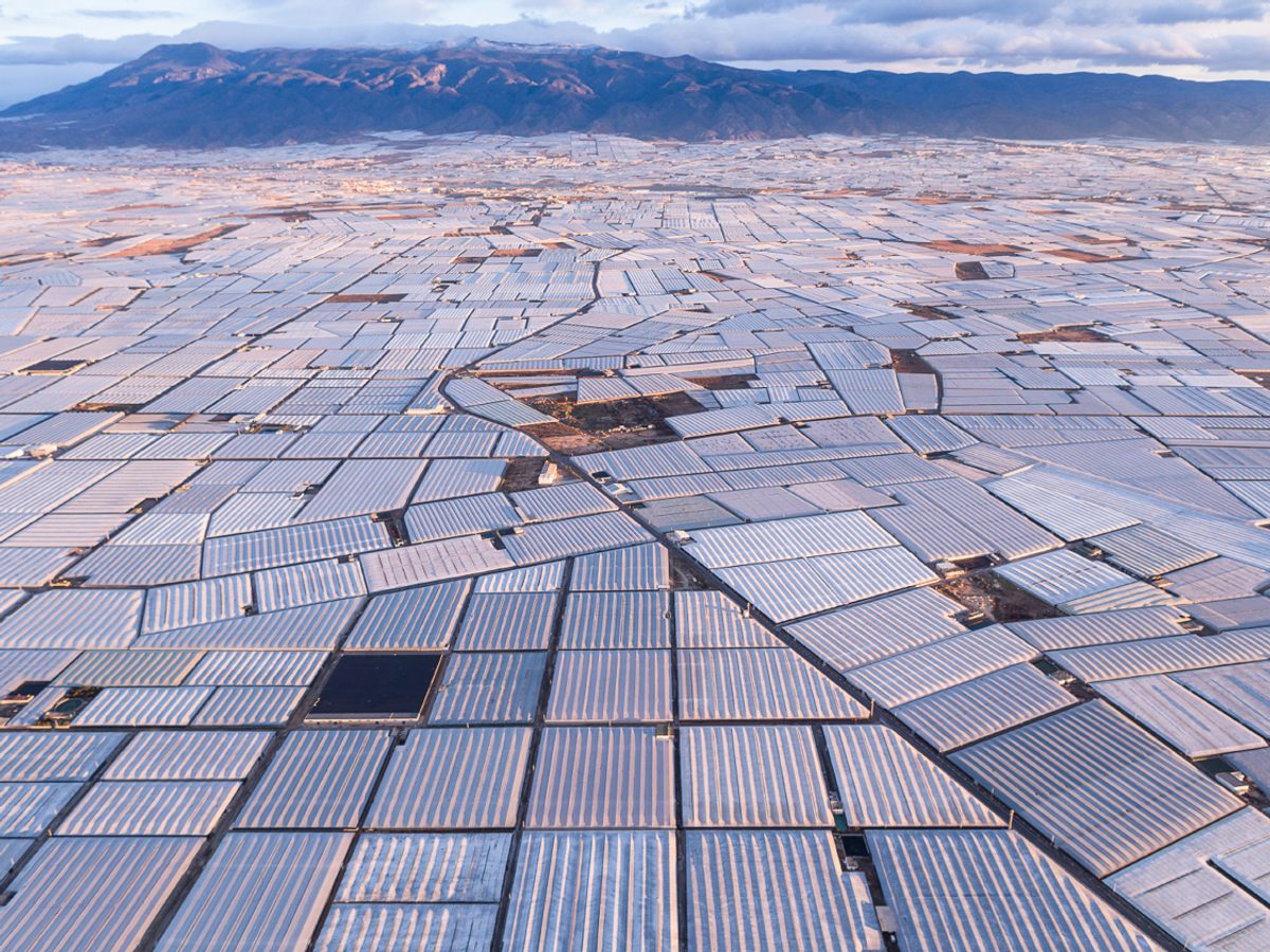 A grooved mosaic of plastic-roofed greenhouses sprawls across 74,000 acres of coastal plains in southern Spain. Huge amounts of produce—mostly tomatoes, sweet peppers, cucumbers, and eggplants—are inexpensively grown here and sold throughout Europe. The intensive agricultural system has resurrected the economy of the Almería region, but also has many detractors who cite its depletion of aquifers, contribution to nitrate pollution, and exploitation of migrant laborers. San Augustín, Andalucía, Spain.