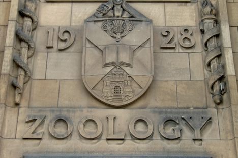 Zoological Roundels