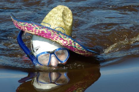 Forget Coral Reefs, These Snorkelers Prefer Soggy Bogs