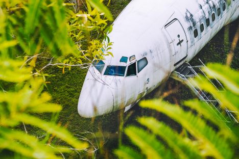 Abandoned aircraft between leaves, Bali