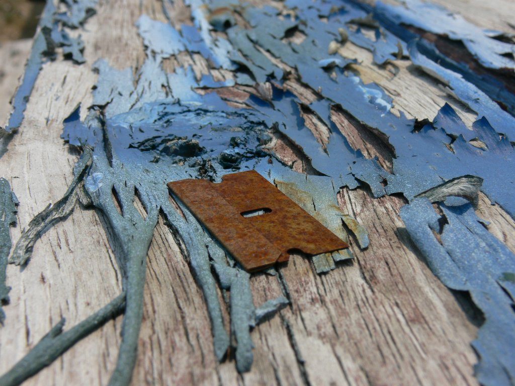 Watch out when you open up that old bathroom wall.