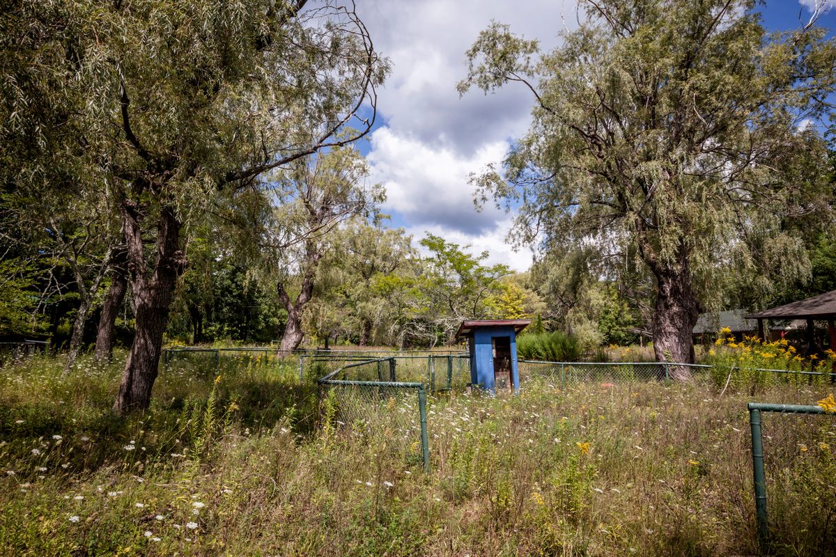 The overgrown remains of the former amusement park area.