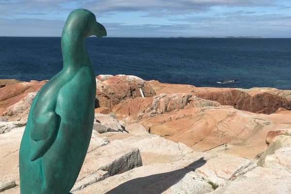 The Great Auk Sculpture.