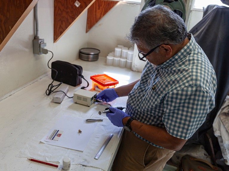 Geologist Teodoro Hernández Treviño takes tooth enamel samples at the National Autonomous University of Mexico.