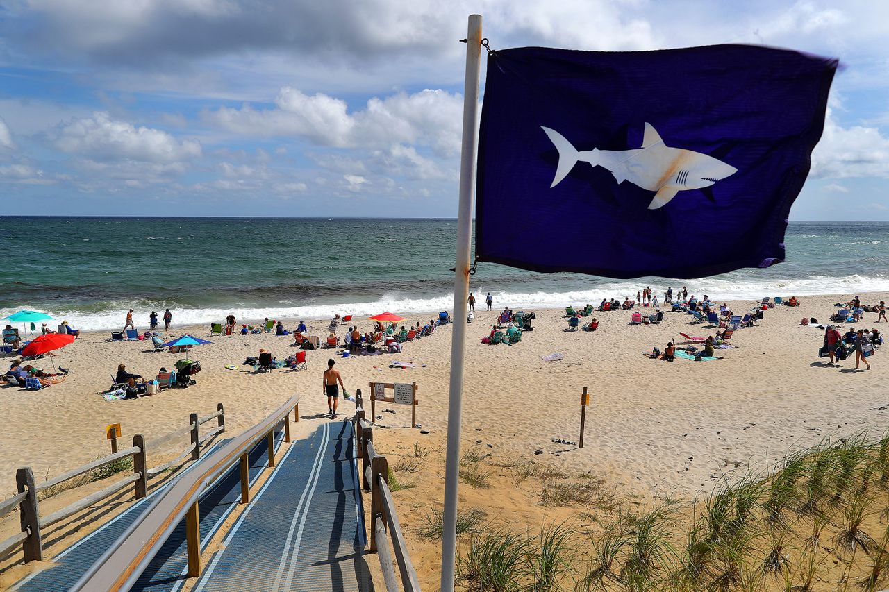 A shark flag at Nauset Beach in Orleans, Massachusetts, alerts visitors to the presence of the animals. Shark sightings are an almost daily occurrence on Cape Cod in summer months.