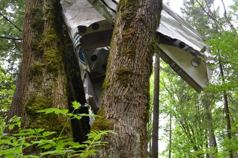 Plane Wreck of Heritage Park