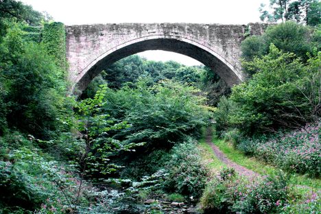 Causey Arch 