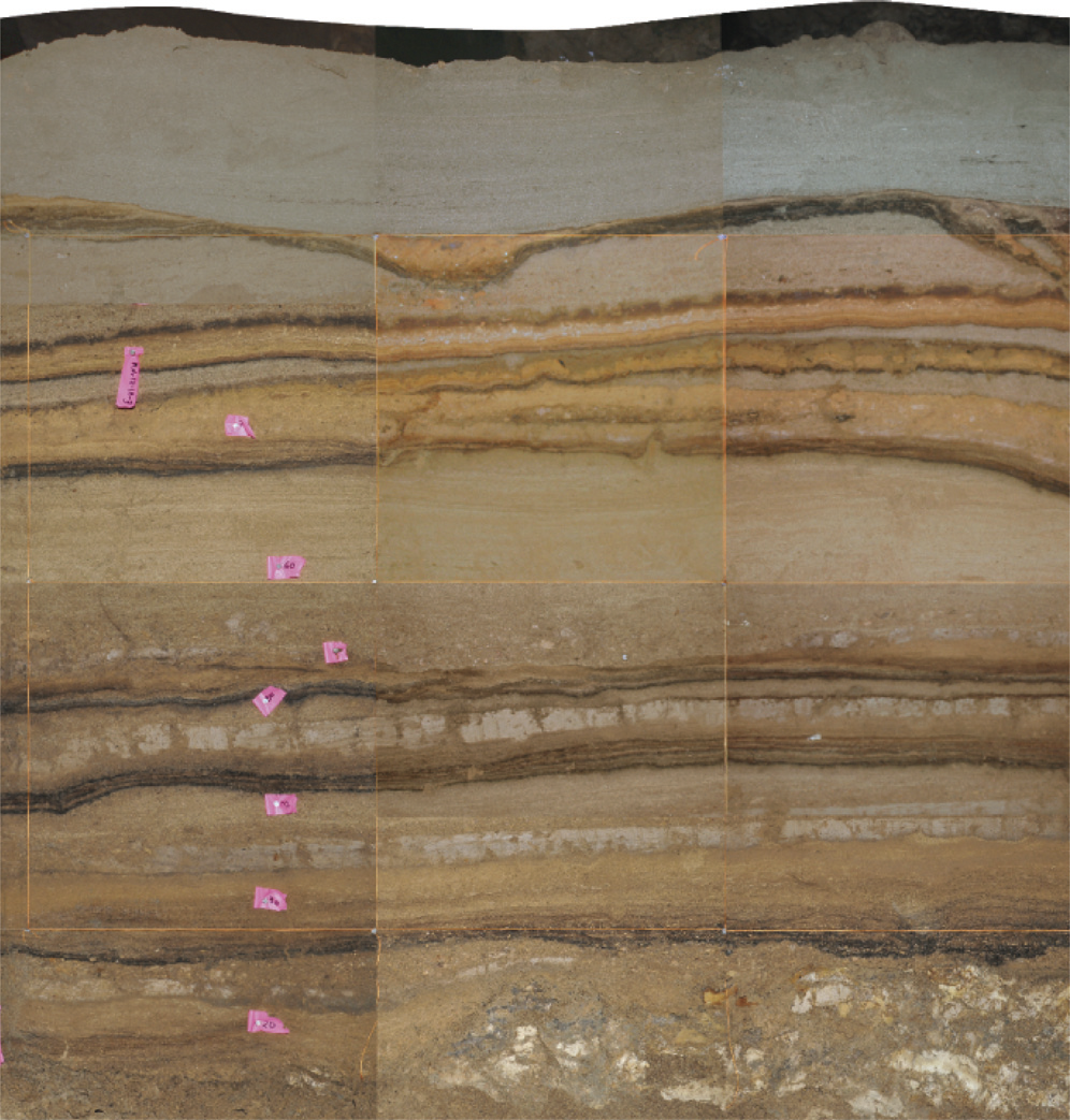 Layers of silt record a series of tsunamis in Indonesia. Light layers were deposited by waves, while dark layers are organic material.