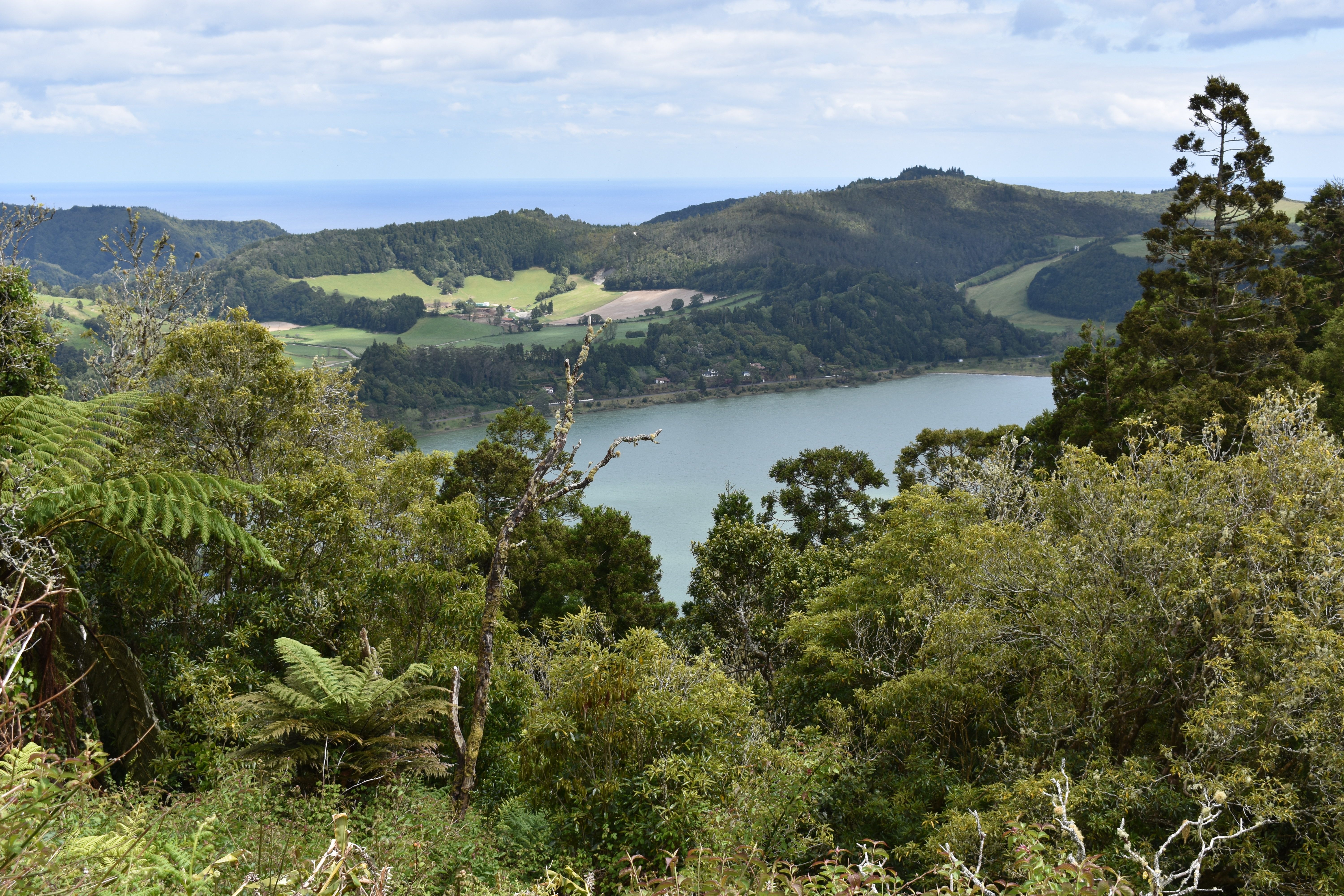 A view of the caldeira lake in Furnas.