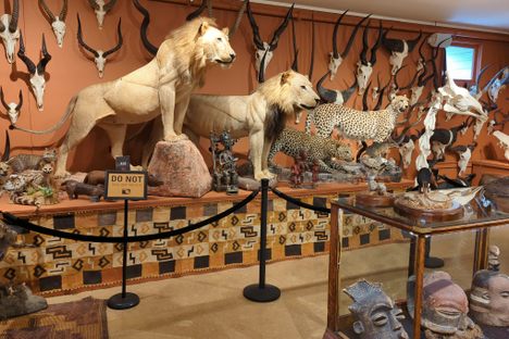 Hand of Man Museum
