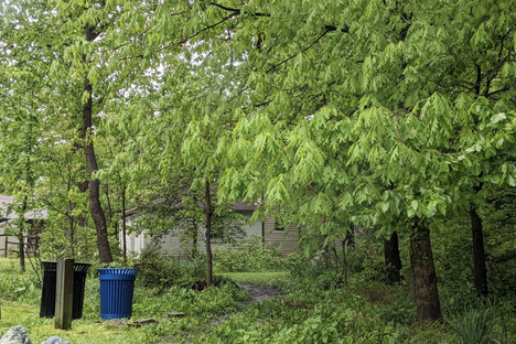 Thomas-Siegler House And Garden