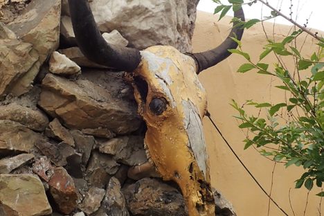 Ovoo.