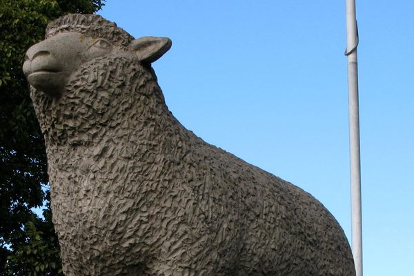 Big Lamb in Guyra, Australia. (Wikimedia Commons)
