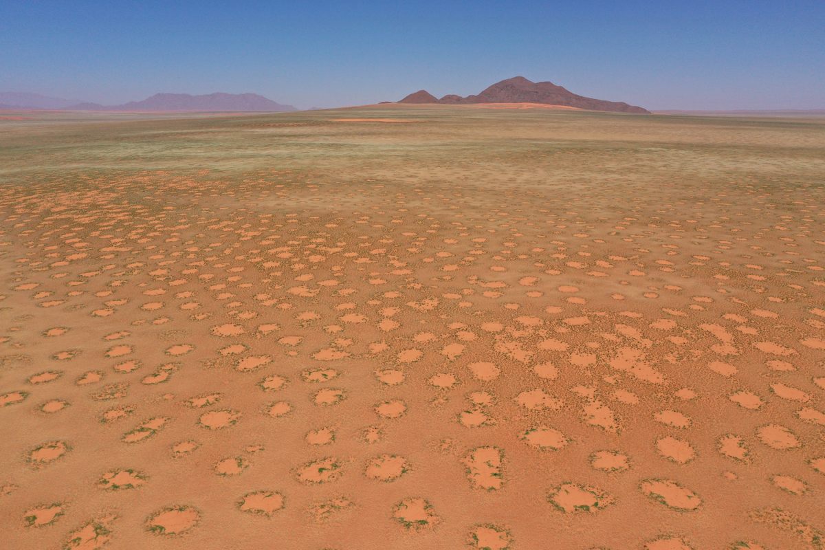 Research finds mysterious fairy circles exist beyond Namibia and