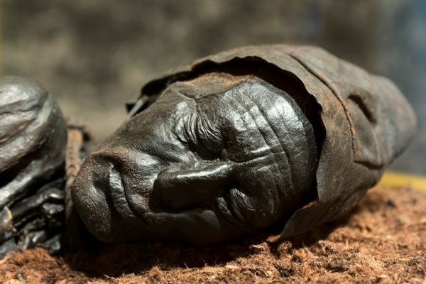 Tollund Man