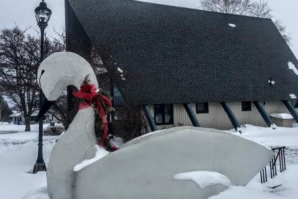 Talula the swan in front of the Elk Rapids Chamber offices.