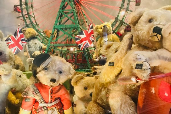 British teddy bears.