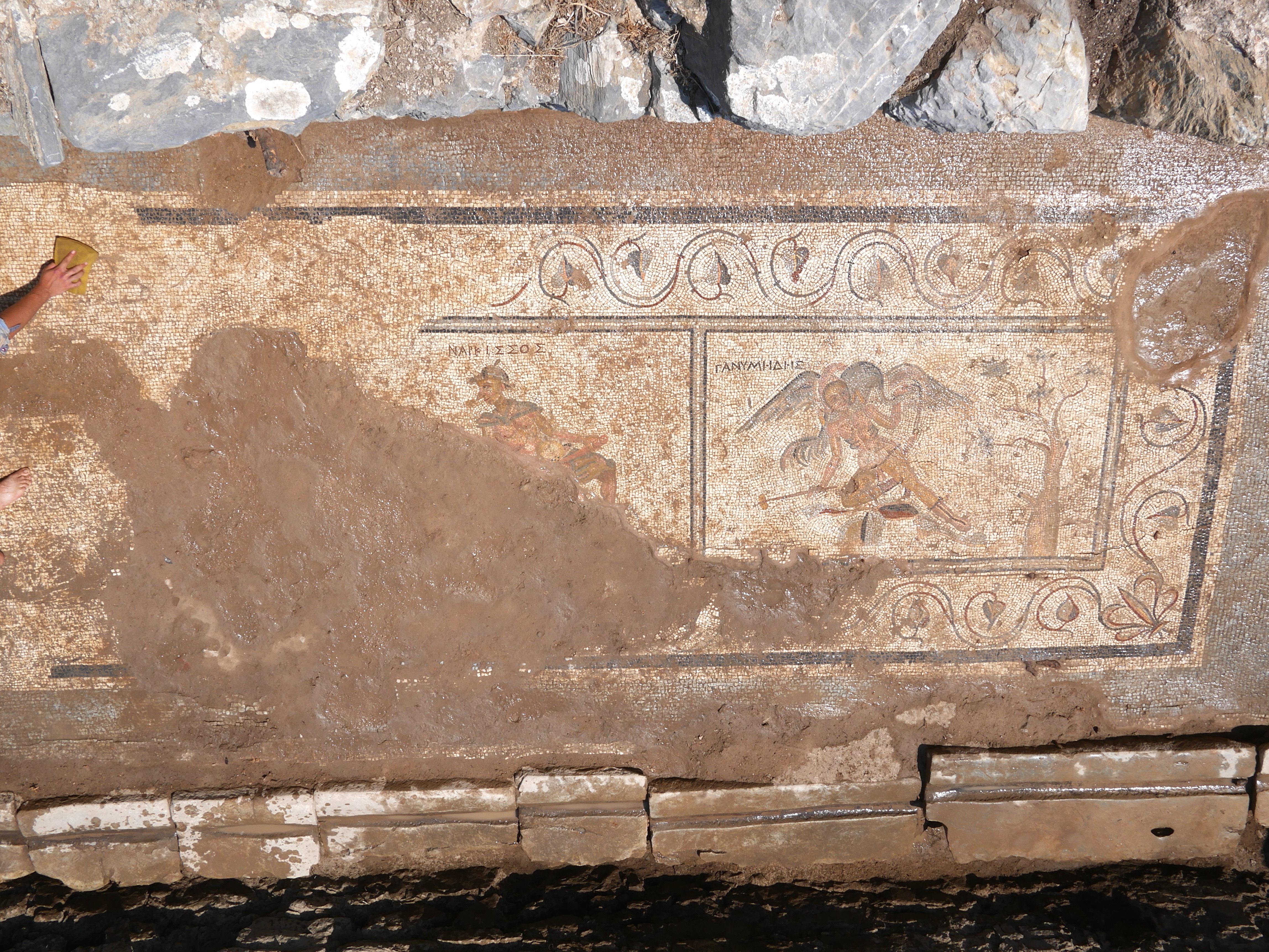 The excavated mosaics.