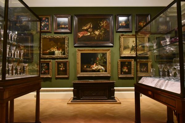 The distinguished duck rests in the Ashmolean’s still life gallery.