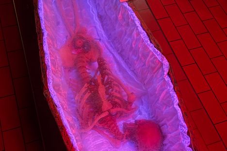 Le Cercueil (The Coffin)