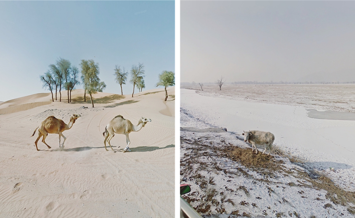 Wildlife sometimes appears in the frames, from the United Arab Emirates (left) to Mongolia (right).