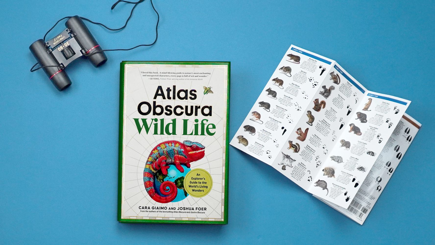The Wild Life book lays on a bright blue surface next to a pair of binoculars and a foldable field guide for small critters.