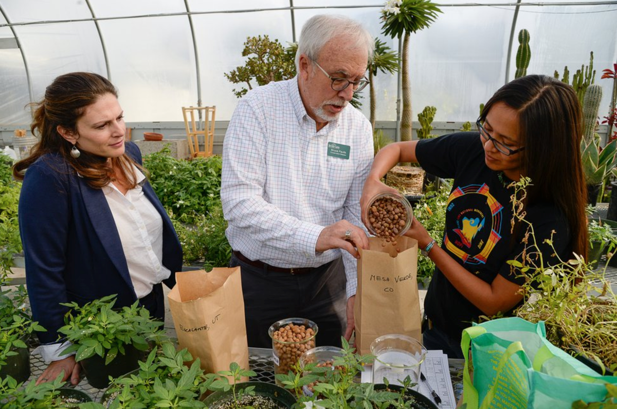 Cynthia Wilson, Bruce Pavlik, and Lisbeth Louderback are working together to bring the potato back to prominence.