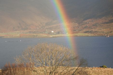 Chasing the pot of gold