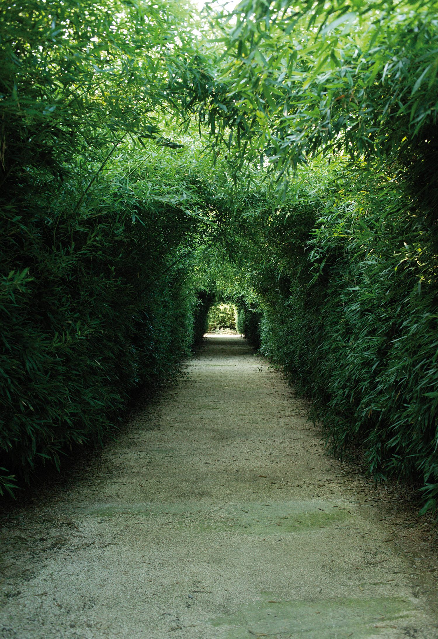 Inside the Masone Labyrinth in Parma, Italy.