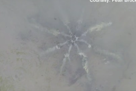 Mystery 'Metal Starfish' Found Off Rhode Island Coast