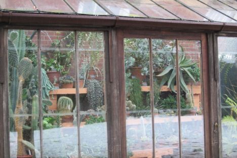 Cactus Greenhouse