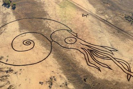 Australia Just Got a Giant Prehistoric Squid Tattoo