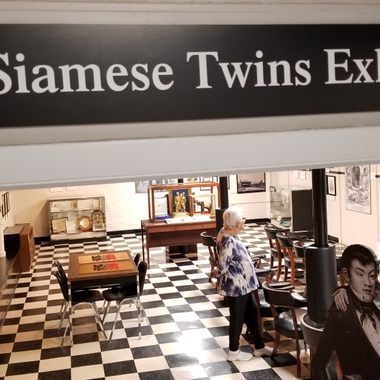 Original Siamese Twins Exhibit