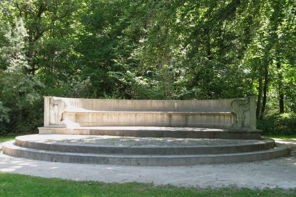 The bench.