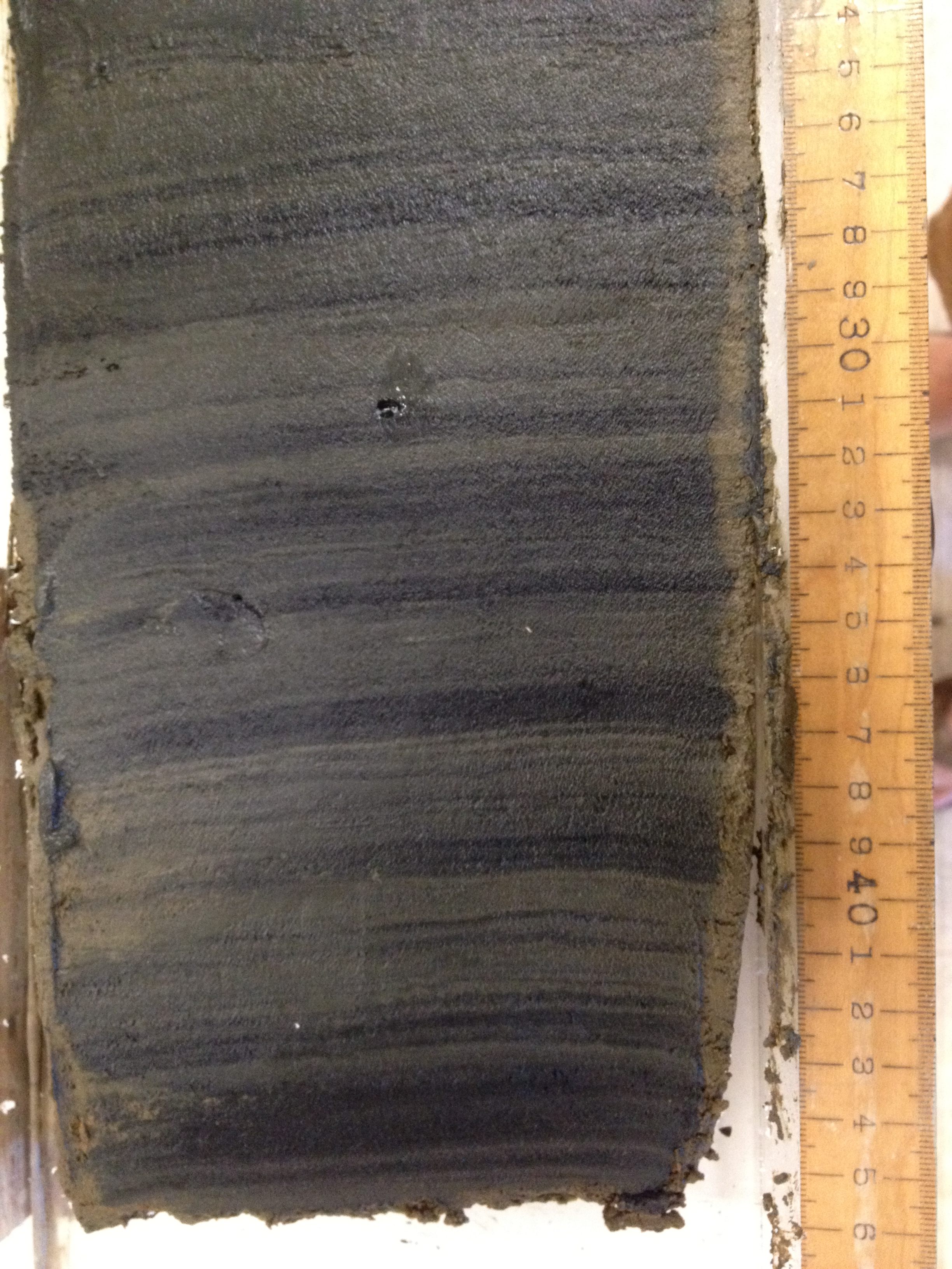 Plastics weren't super visible in the sample until researchers slid it under a microscope.