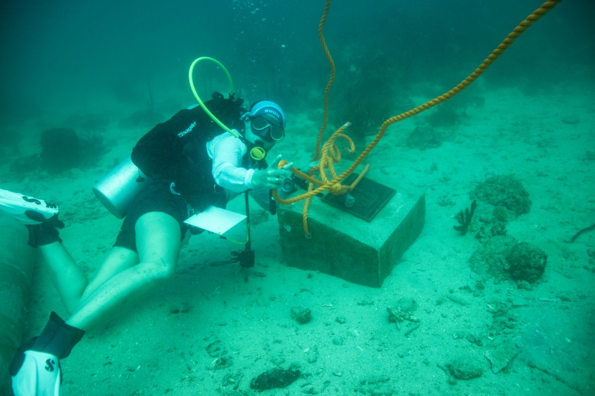 As with the other maritime archaeological parks in the Dominican Republic, the new one bears a plaque.