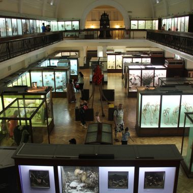 Brightly Colored Display Cases
