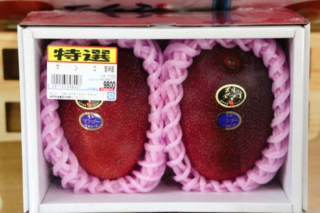 Egg of the Sun mangoes (price in yen). 