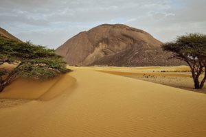 Photo of Mauritania