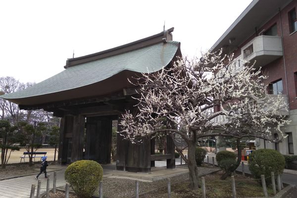 Yakuimon Gate. 