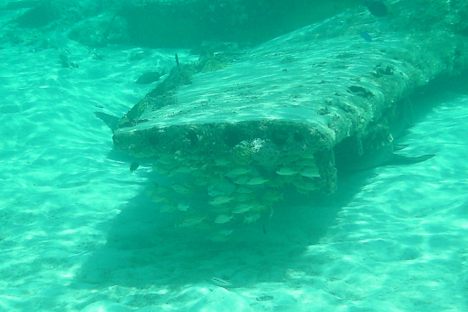 Underwater Plane Wreck Near Staniel Cay