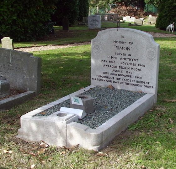 Here lies the noble Able Seacat, Simon.