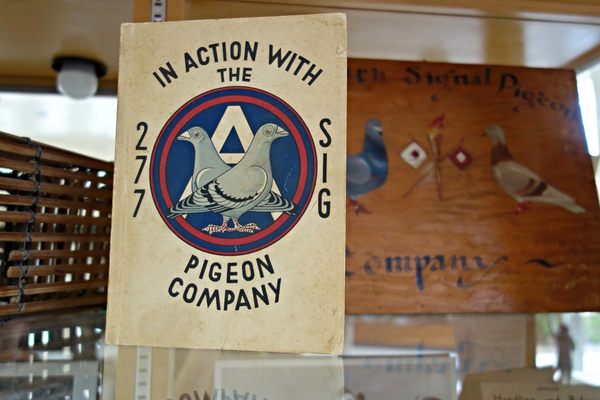 The American Pigeon Museum 